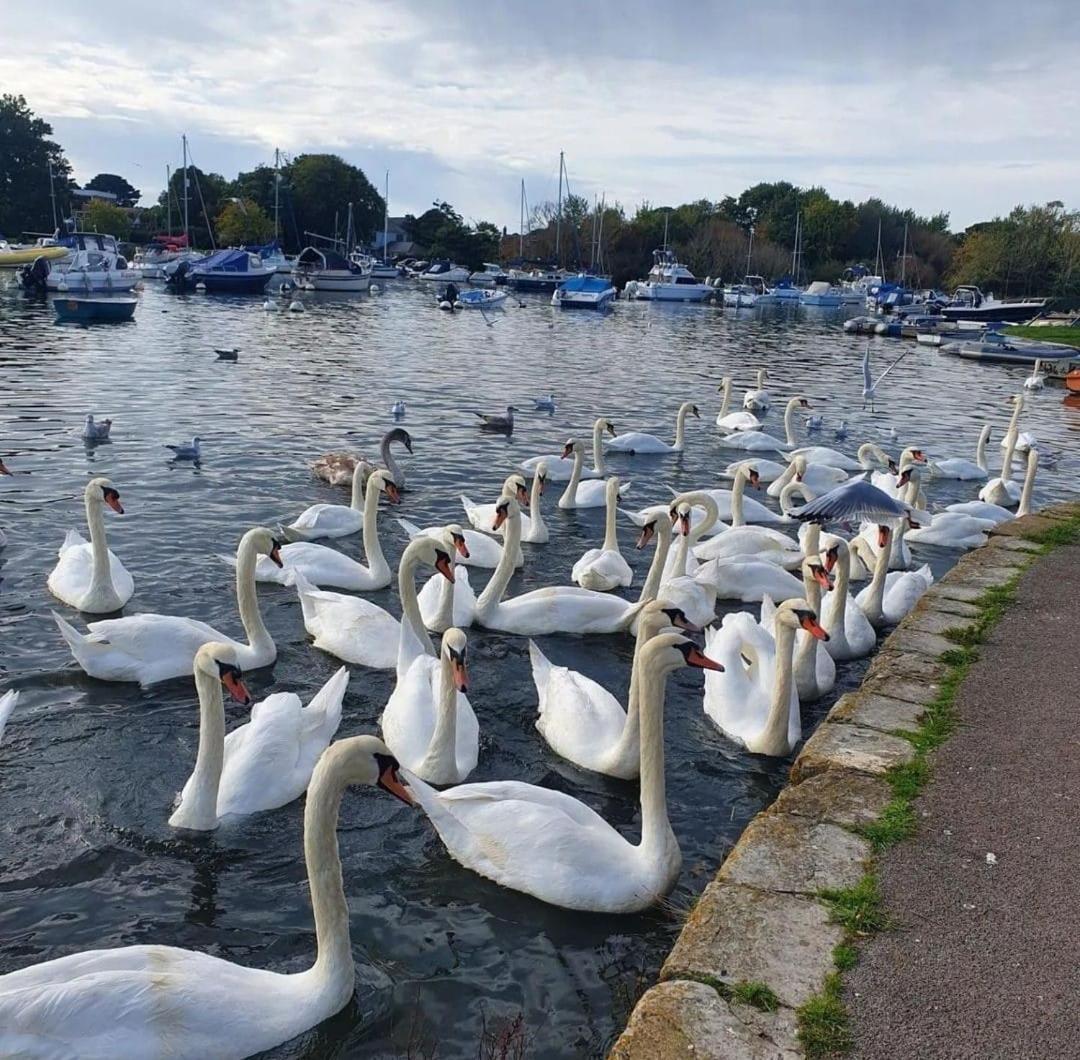 Appartamento Mudeford Swans Christchurch  Esterno foto